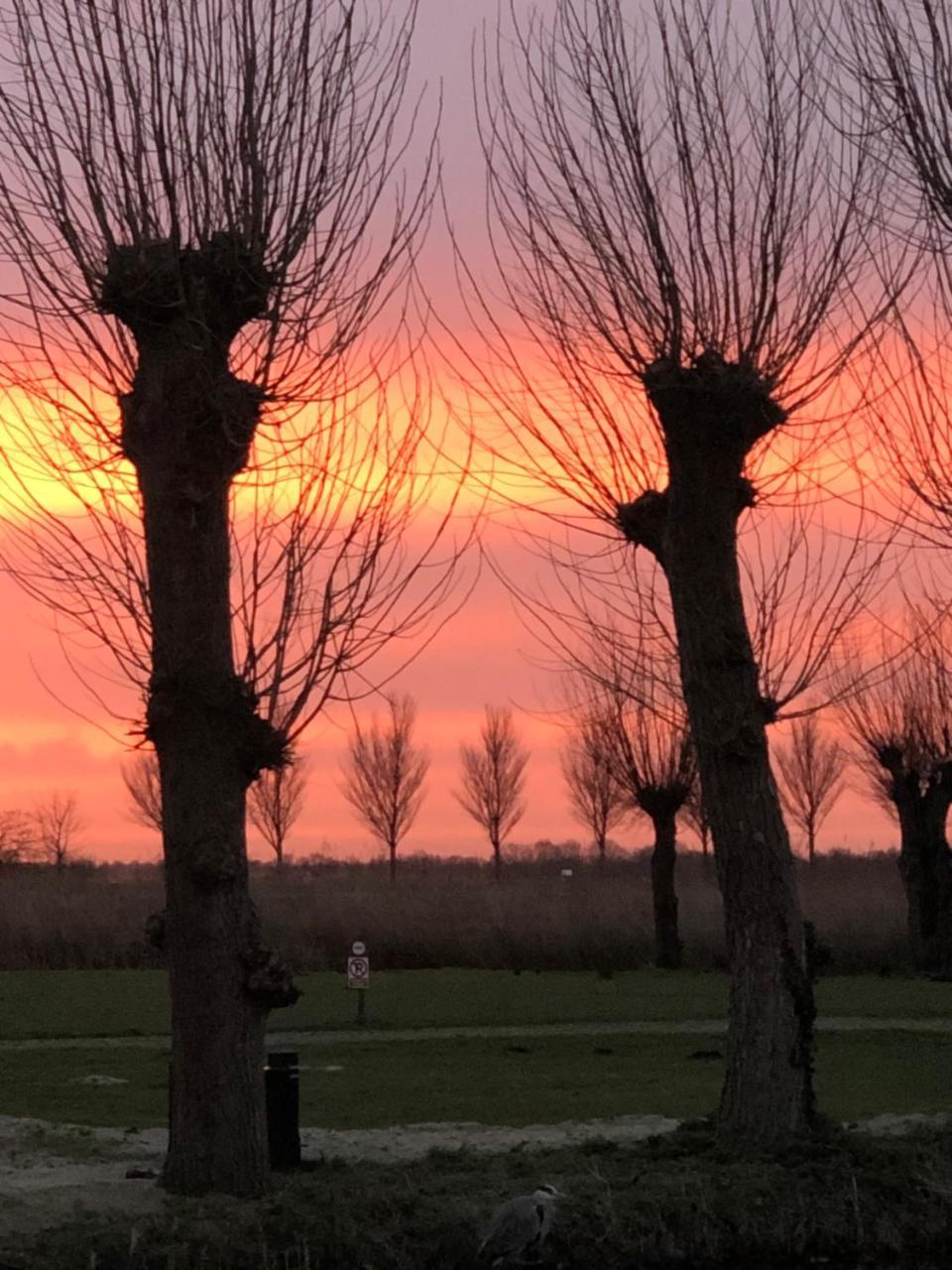 B&B Het Pakhuys De Rijp Exteriör bild